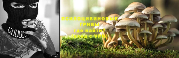 ECSTASY Богородск
