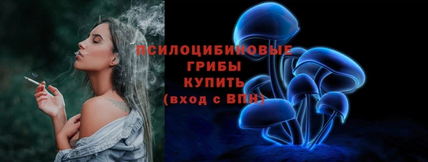 гашиш Богданович