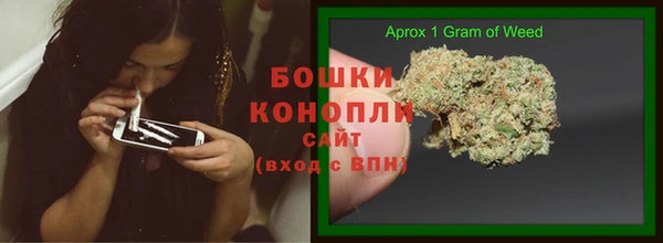 гашиш Богданович