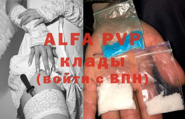 гашиш Богданович