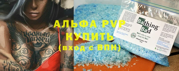 ECSTASY Богородск