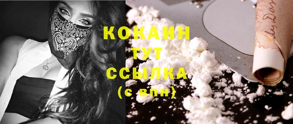 ECSTASY Богородск
