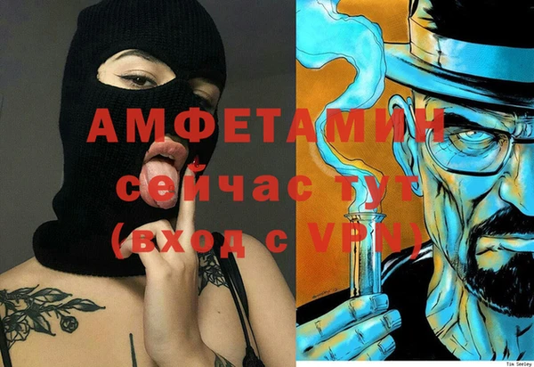 ECSTASY Богородск