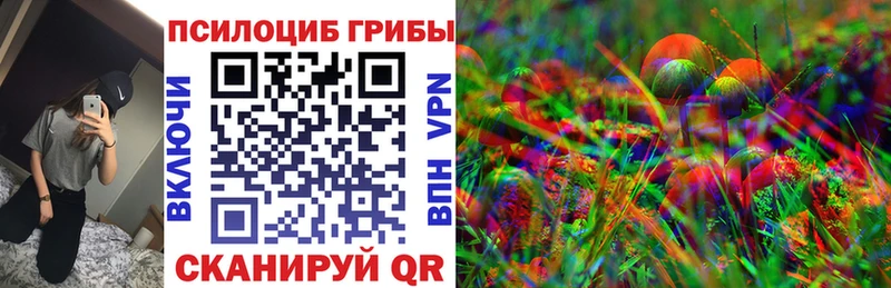 Галлюциногенные грибы Psilocybe  Онега 